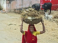Dans le panier : des bouses de vache séchées  La bouse séchée est un combustible très utilisé pour la cuisine ou le chauffage de l'eau sanitaire. Elle est mélangée fraîche avec de la paille ou des feuilles pour augmenter son pouvoir calorifique
